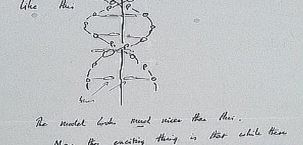 Carta sobre el hallazgo del ADN. (Foto: Christie''s)