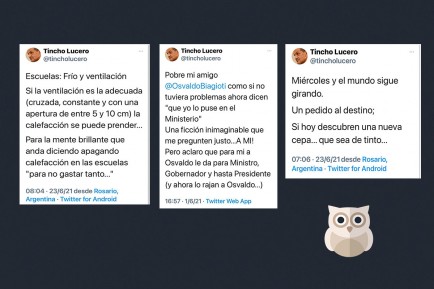 Capturas del Twitter de Lucero @tincholucero