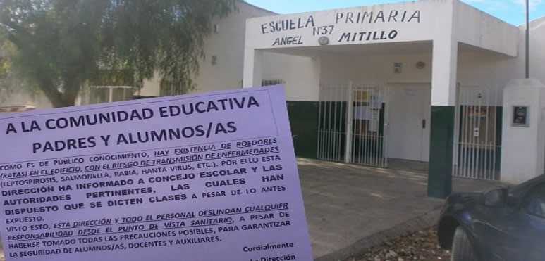 Los directivos de un colegio colgaron un insólito cartel en el que se desligan de responsabilidades por los roedores. La respuesta del Consejo Escolar