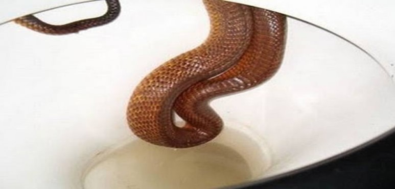 Le sucedi a un hombre de 35 aos en Haifa, Israel. A pesar del dolor, la vctima hasta se permiti hacer chistes sobre el increble suceso