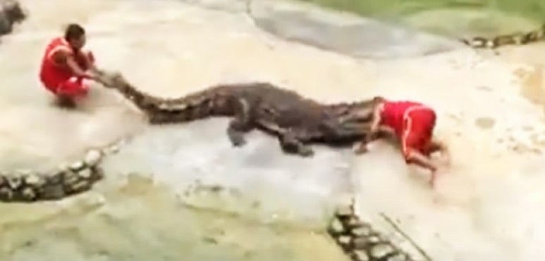 Ocurri durante una presentacin en Tailandia. El video del momento.