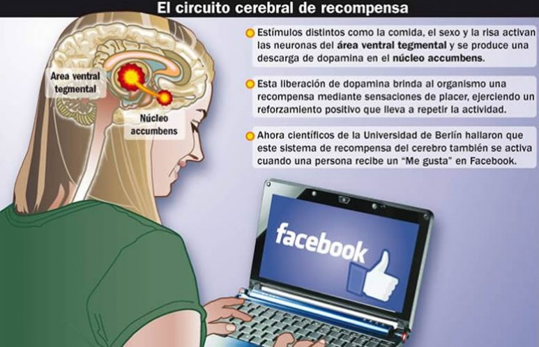 Científicos de Berlín hallaron que el botón es el primer paso hacia una adicción.