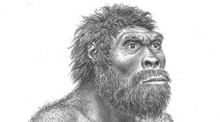 Hallaron un cráneo de 1,8 millones de años en Dmanisi, Georgia