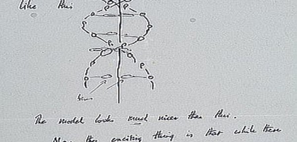 Venden carta sobre hallazgo del ADN en m�s de u$s 5 millones