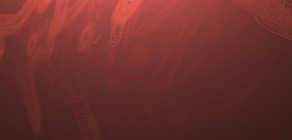Los ocanos registran las mayores temperaturas jams medidas