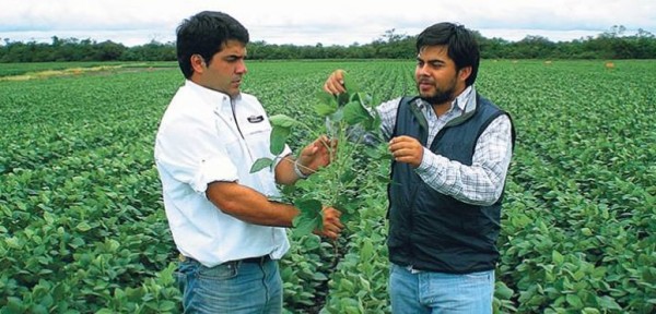 Por la sequ�a, un 43% de los productores tuvo que refinanciar deuda