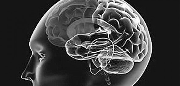 El estrs crnico aumenta 37% las probabilidades de sufrir problemas cognitivos a partir de los 45 aos