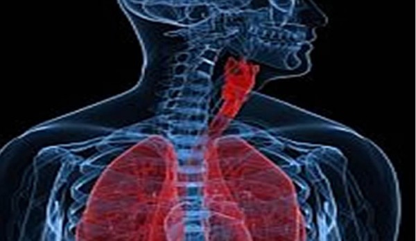 Fibrosis qu�stica: esperanzadora terapia para mejorar funci�n respiratoria