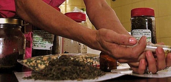 El club secreto de la marihuana