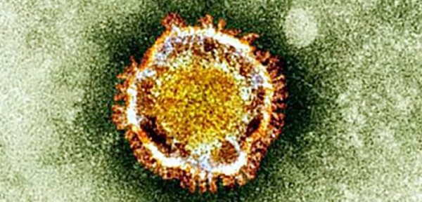El coronavirus mata y podr�a transmitirse entre humanos