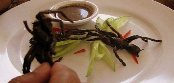 En la regi�n costar� imponer la pr�ctica de comer insectos