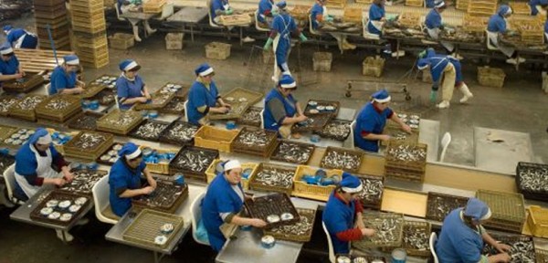 La industria alimentaria tendr� que costear el grueso de plan internacional