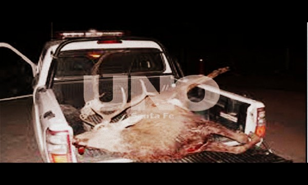 Desarmaron a depredadores de la fauna silvestre en San Javier