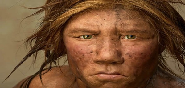 Los dientes de los neandertales indican cu�ndo dejaron de mamar