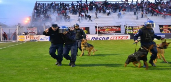 El cabezazo de un perro en el partido de Central