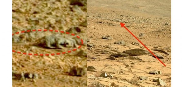 Conmocin por el supuesto lagarto que apareci en Marte