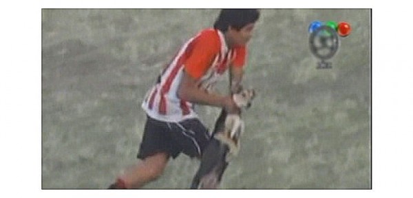 Futbolista lanz un perro a la tribuna