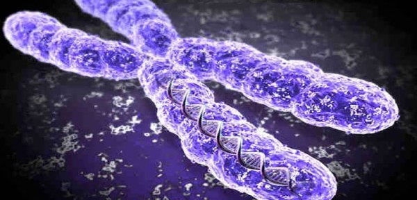 El Down excede el cromosoma 21