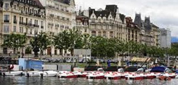 Detectado un nuevo virus de la gripe aviar que puede afectar a humanos