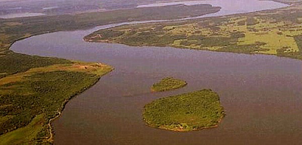 Las palometas volvieron a atacar en las orillas del R�o Paran�