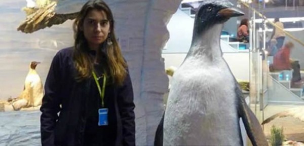 Hallaron en la Antrtida restos de pingino gigante