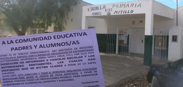 Si una rata muerde a un alumno, no se hacen cargo