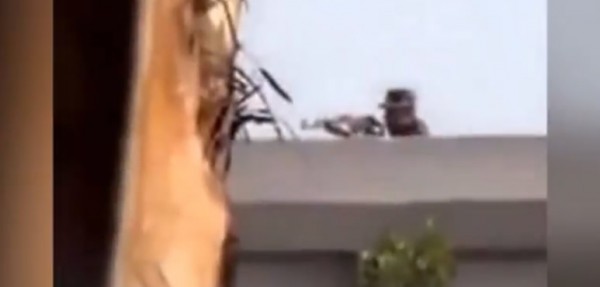 Video: film� su propia muerte en las revueltas egipcias