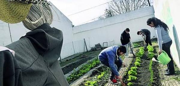 Construyeron una huerta en una escuela y lograron bajar la violencia