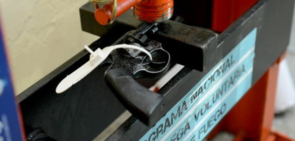 Derecho a la reproducci�n