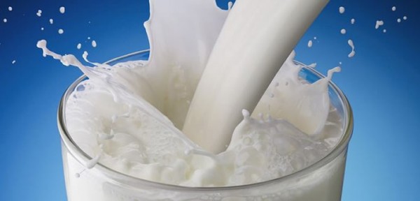 Desarrollarn en la Argentina una leche para las personas con alergia a la protena vacuna