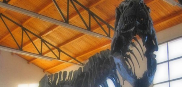 Muestra de dinosaurios recorrer las escuelas del departamento Iriondo