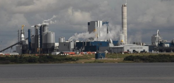 La ex Botnia instalar� otra pastera en el Uruguay si le permiten aumentar un 20 por ciento de la producci�n