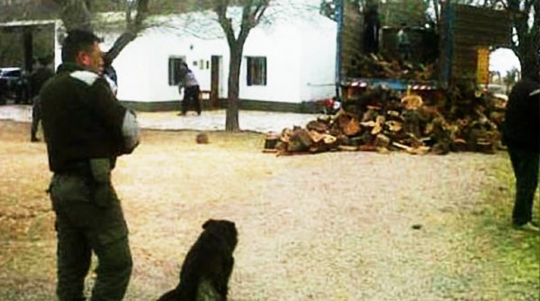 Secuestran m�s de dos toneladas de marihuana en Ceres, Santa Fe