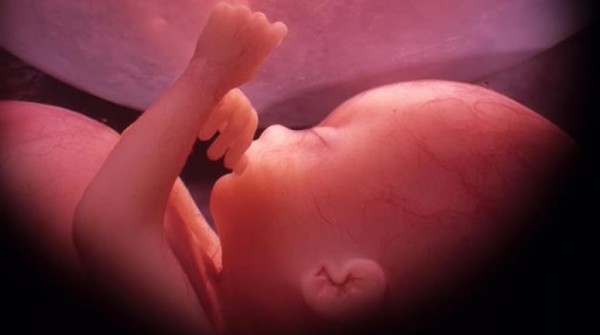 Consejos para una (futura) mam sana