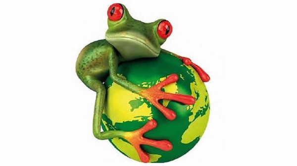 La educacin como herramienta para la proteccin de los animales