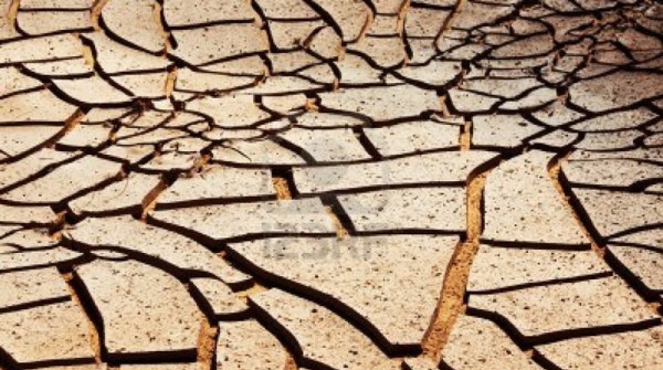 El 50% de los argentinos cree que todava hay tiempo para frenar el cambio climtico