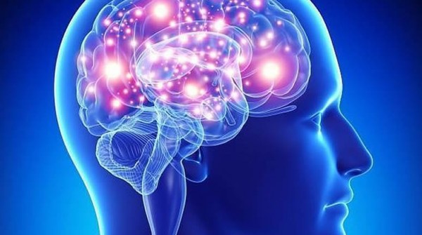 Por qu hacer ejercicio fsico es bueno para tu cerebro