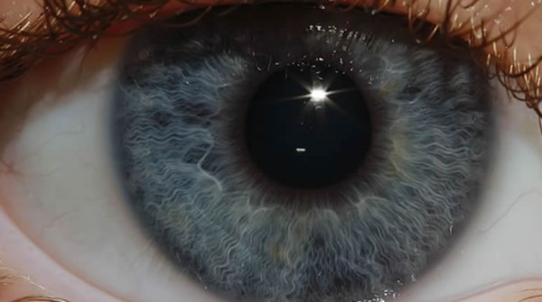 M�s c�maras en la peatonal y en espacios verdes