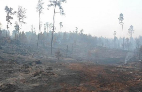 La Argentina, frente a la amenaza de un futuro ambiental incierto