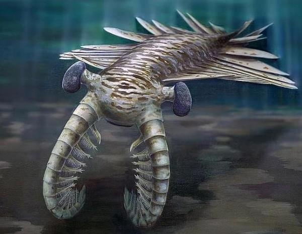  Los Ningen, las criaturas humanoides del rtico
