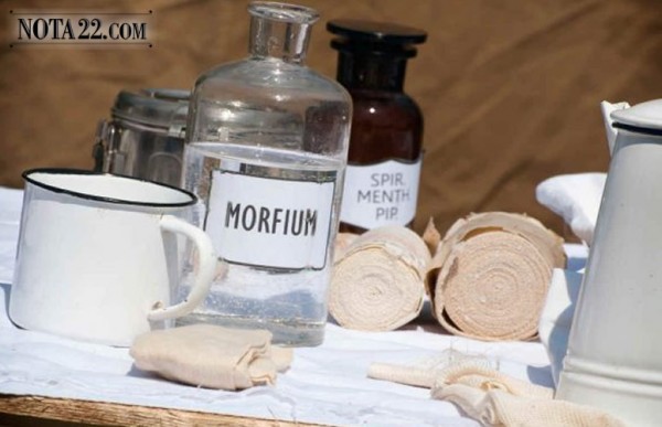 Quieres conocer cmo acta la morfina en nuestro cuerpo?