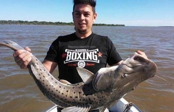 Entre muchas palometas, algunos surub�es