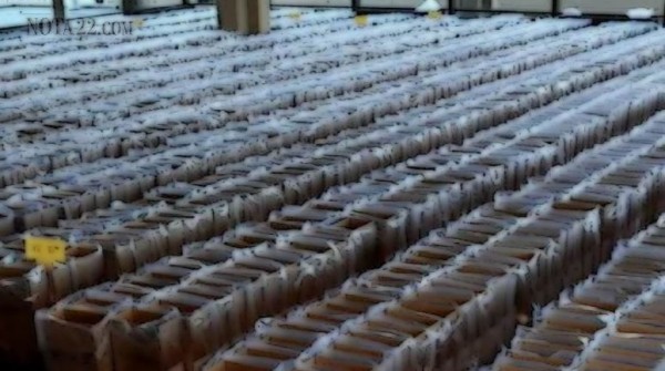 La Plata: Datos oficiales para concejales y diputados provinciales