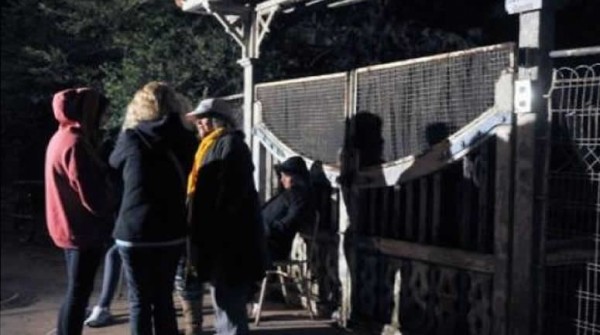Piden prisión preventiva para colaborador de Grassi acusado de abuso de menores