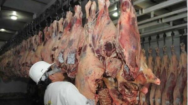 Las exportaciones de carne alcanzaron un rcord histrico en 8 meses, segn la BCR