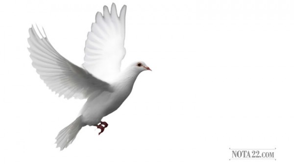 Robaron sangre del papa Juan Pablo II