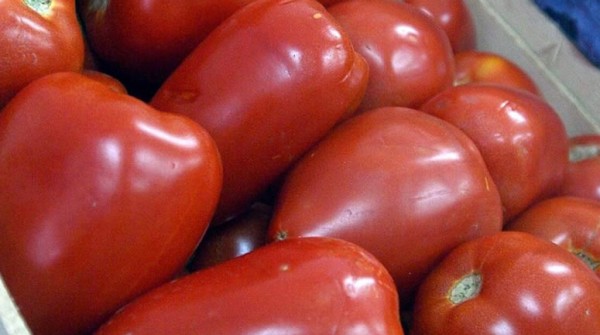 Precios del tomate alcanzan niveles r�cord