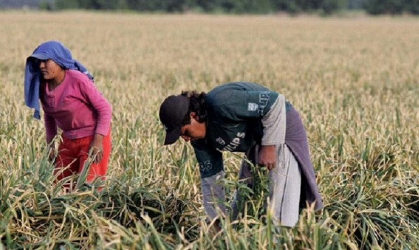 Paraguay encabeza la inmigración hacia la Argentina