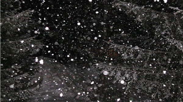 Nev� en Bariloche y en Villa La Angostura