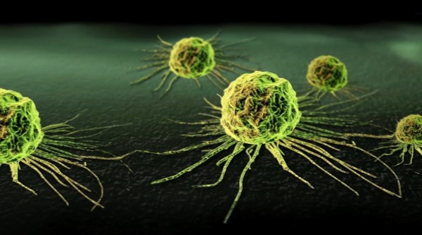 Descubren nueva forma de derrotar clulas cancerosas invisibles